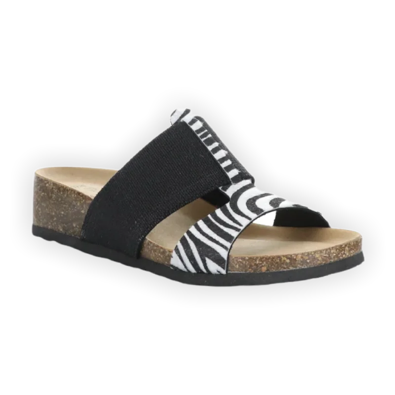 White/Black Zebra