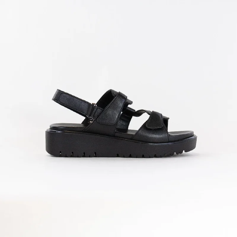 Ara Bayview Sandal (Women's) - Black